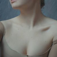 1402164 1402164