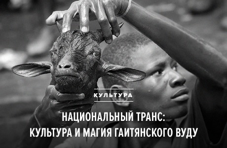 Расчлененка в черной магии или премудрая сойка MSAcpqP7UN7gnawImSKl_Q-default