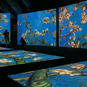 Выставка Van Gogh Alive — Фоторепортаж на The Village