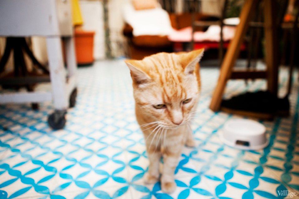 Квартиры мира (Париж): Дом в районе Монтрёй. Изображение №5.