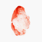 «Цинковые мальчики»: Как мобилизация превратилась в этнические чистки