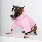 Осенние прогулки: 5 полезных аксессуаров для собак
