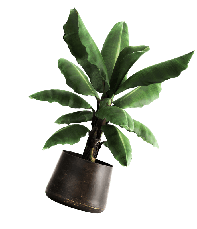placeholder+image