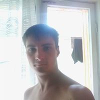 1517861 1517861