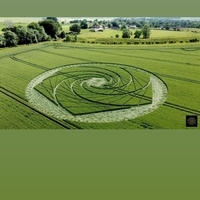1511479 1511479