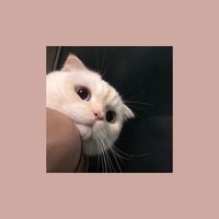 1508661