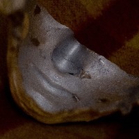 1428633