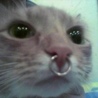 1438025