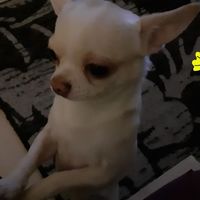 1527653 1527653