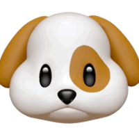 1469491 1469491