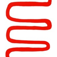 1429851